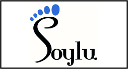 Maecenas dictum, dui in metus.