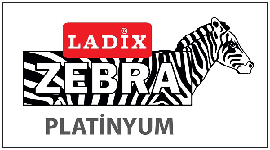 Maecenas dictum, dui in metus.